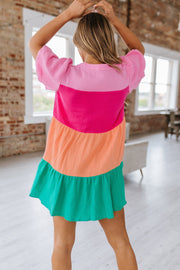 Athena Color Block Puff Sleeve Dress S-XL