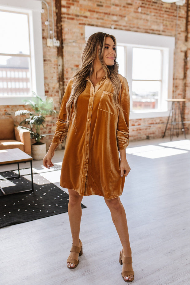 Gloria Button Front Velvet Dress | S-XL