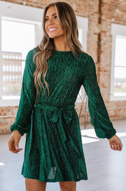 Meri Crinkle Velvet Dress | S-XL