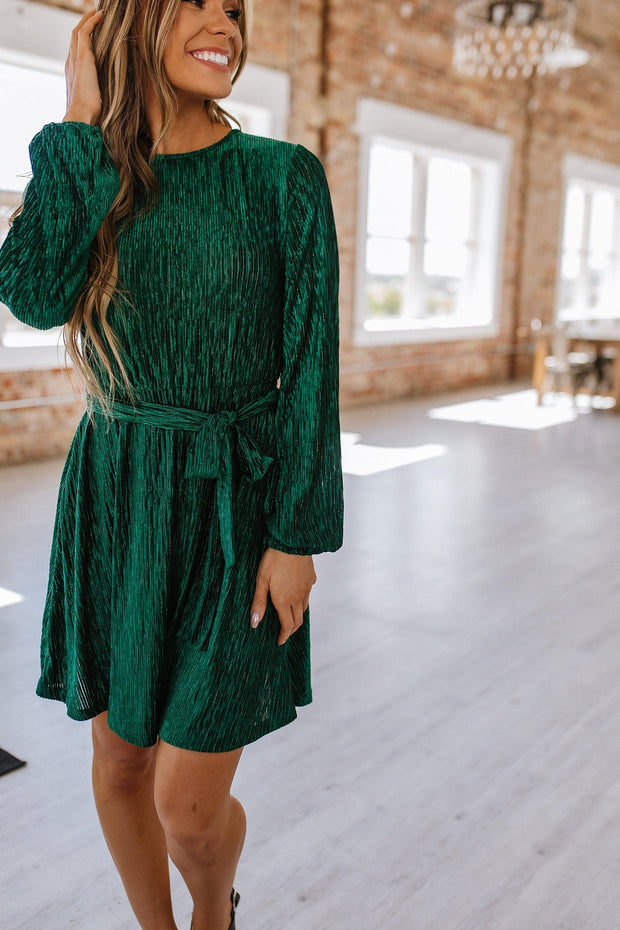 SALE - Meri Crinkle Velvet Dress | Size Small